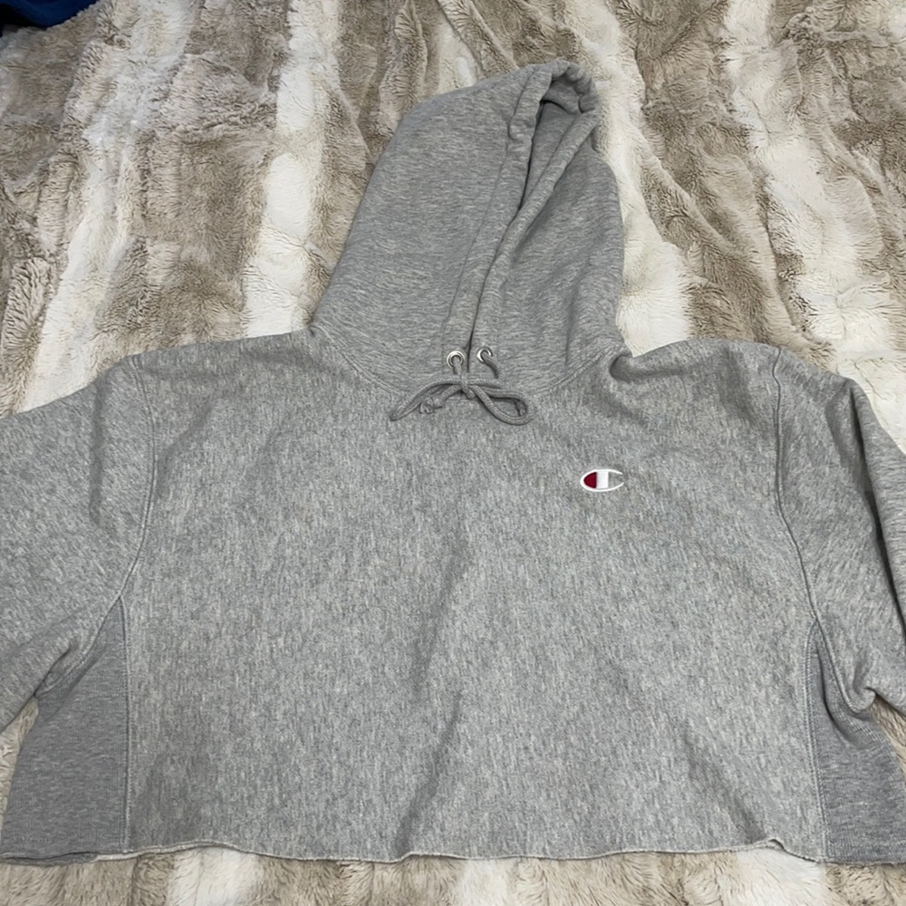 Cropped champion hoodie